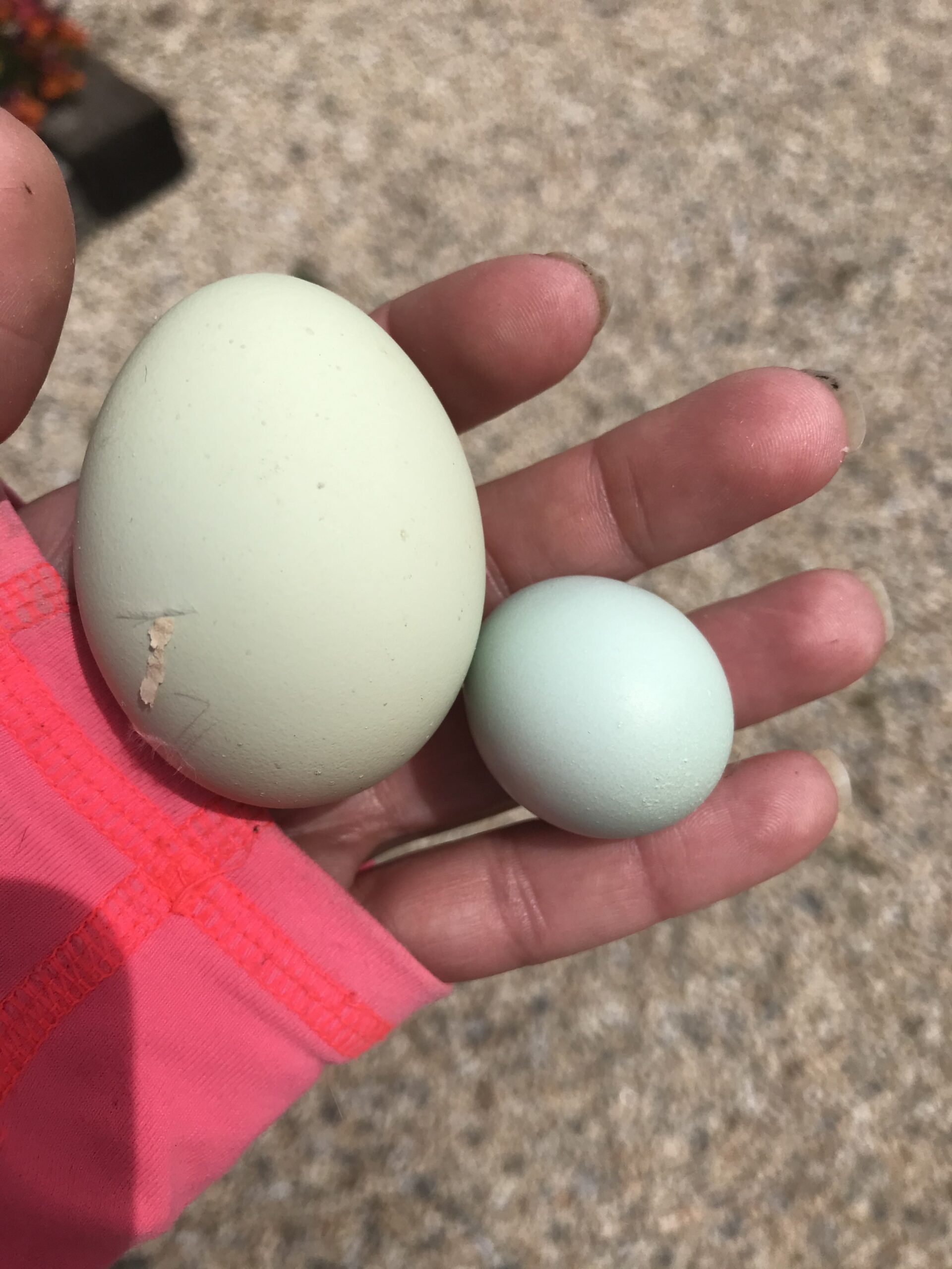 IMG_5584-scaled.jpeg